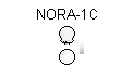 NORA-1C.png