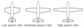 Wing aspect ratio comparison.png