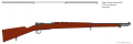 Mauser Model 1893.png