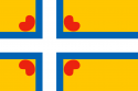 Dark Yellow with a white and blue cross that extends to the edges of the flag; 4 red hearts in each square